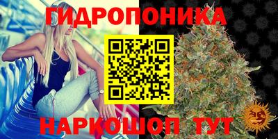 хмурый Старая Купавна