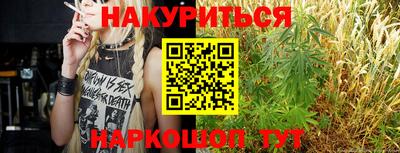 стаф Славгород