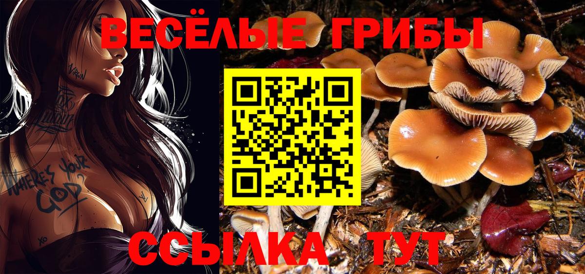 Галлюциногенные грибы GOLDEN TEACHER Норильск